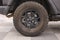 2024 Jeep Wrangler 4-Door Willys 4x4
