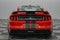 2019 Ford Mustang Shelby GT350