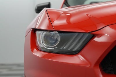 2019 Ford Mustang Shelby GT350