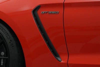 2019 Ford Mustang Shelby GT350
