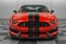 2019 Ford Mustang Shelby GT350