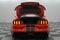 2019 Ford Mustang Shelby GT350