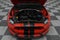 2019 Ford Mustang Shelby GT350
