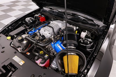 2013 Ford Shelby GT500 Shelby GT500