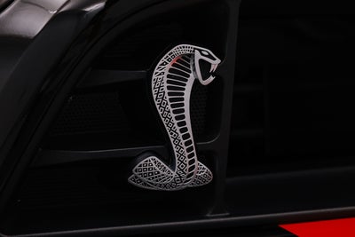 2013 Ford Shelby GT500 Shelby GT500