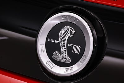 2013 Ford Shelby GT500 Shelby GT500