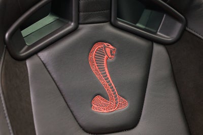 2013 Ford Shelby GT500 Shelby GT500