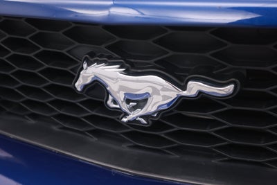 2007 Ford Mustang GT/CS