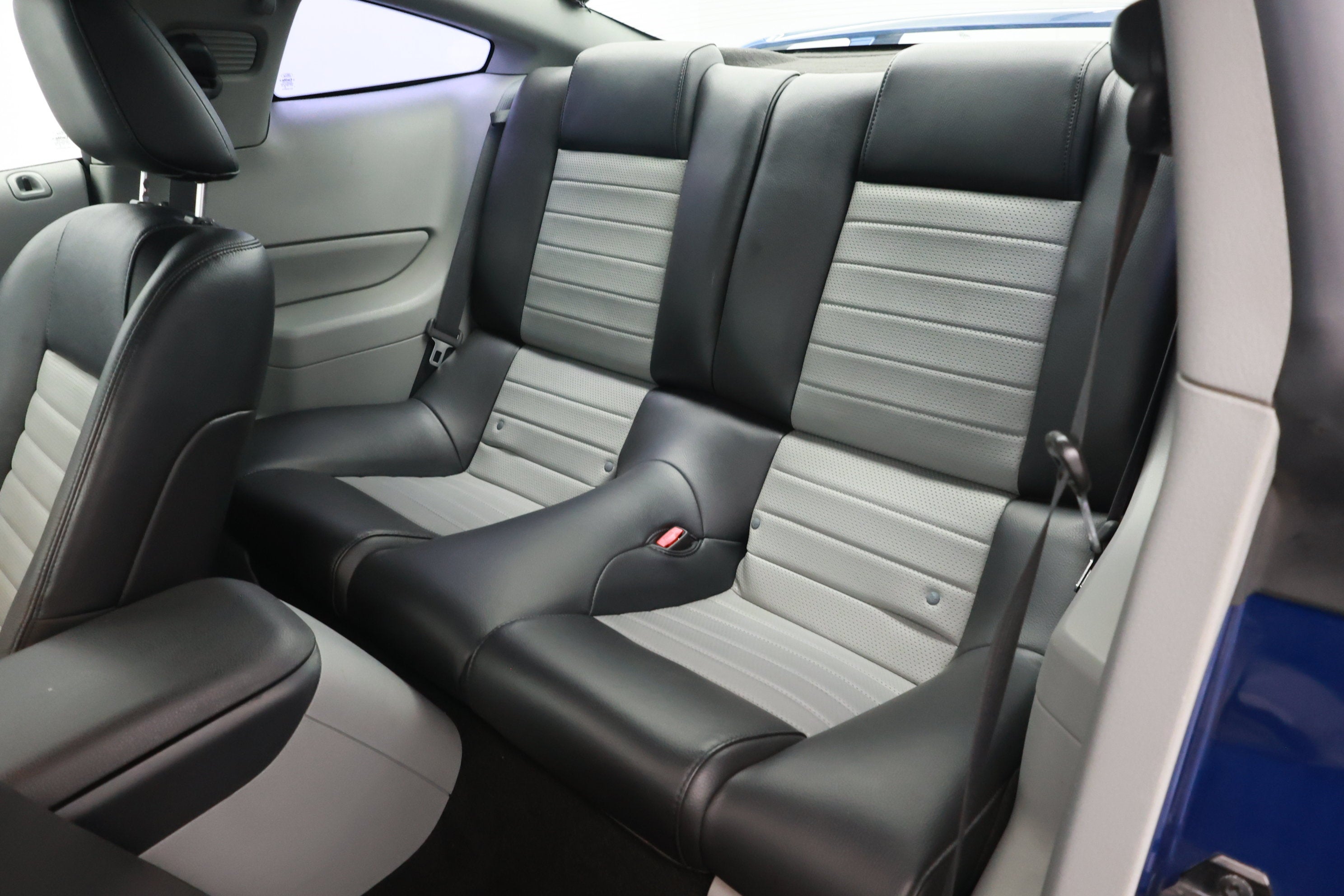 2007 Ford Mustang GT/CS