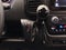 2025 RAM ProMaster 2500 136 WB Low Roof Cargo