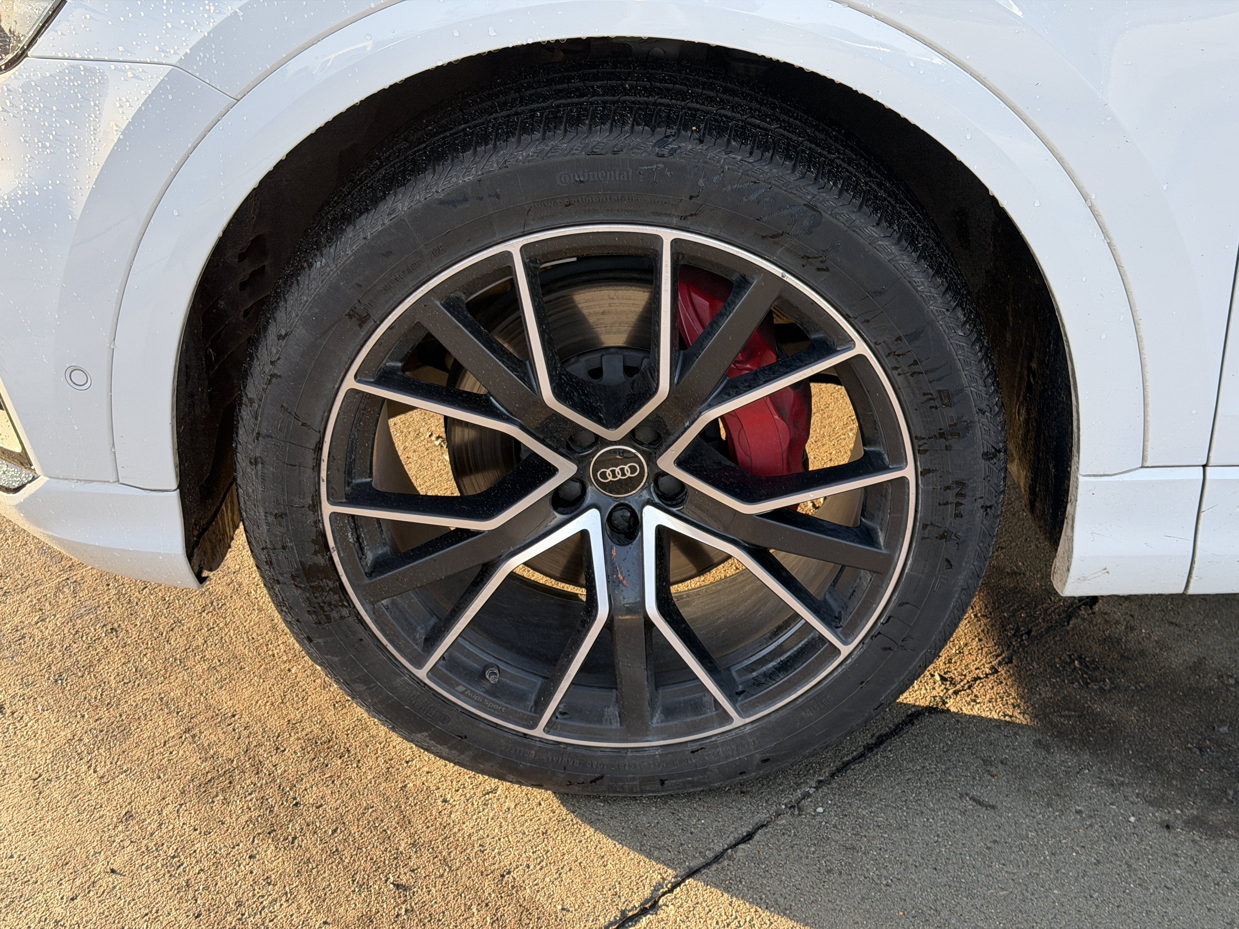 2022 Audi Q8 55 quattro Premium