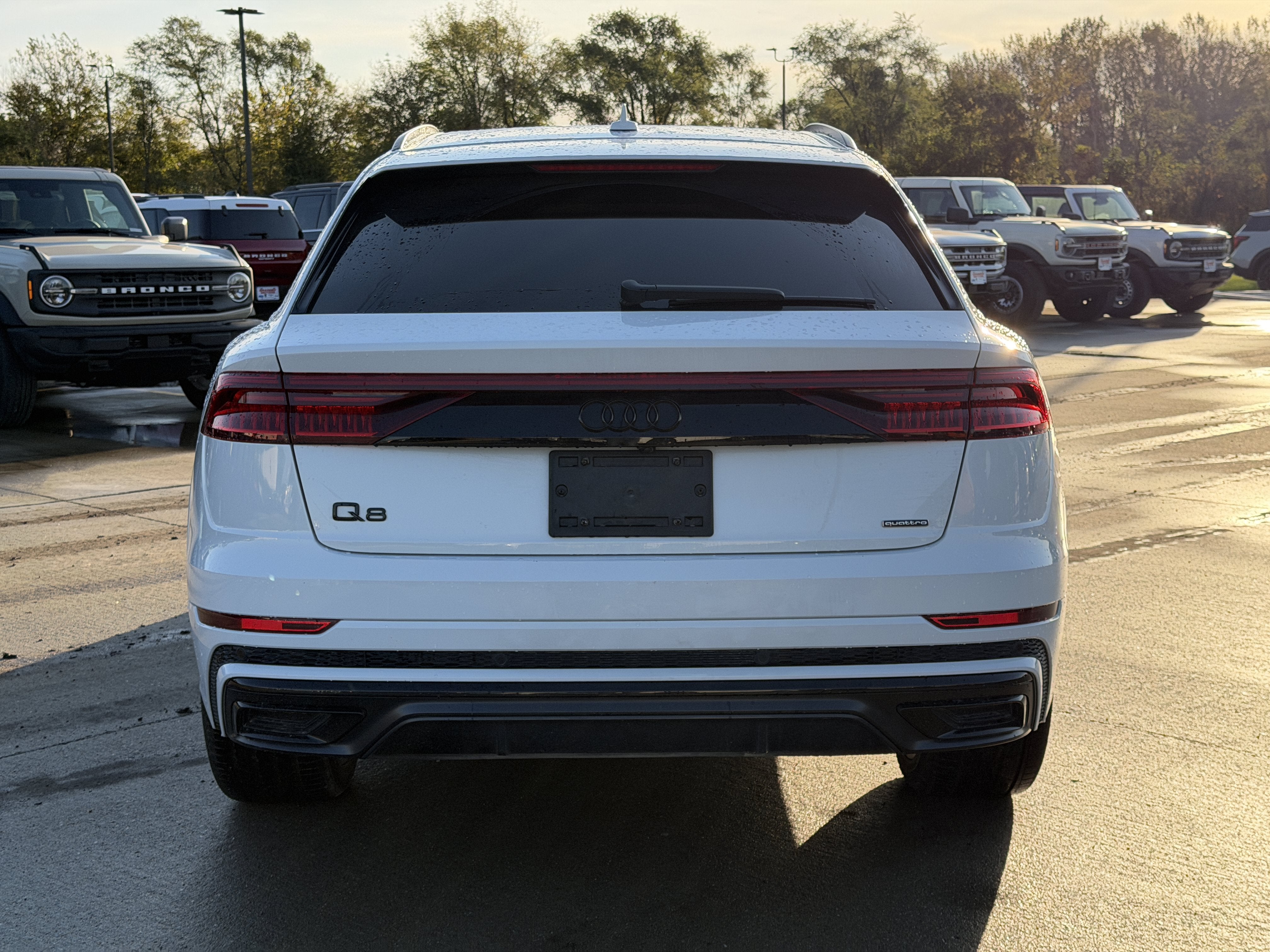 2022 Audi Q8 55 quattro Premium